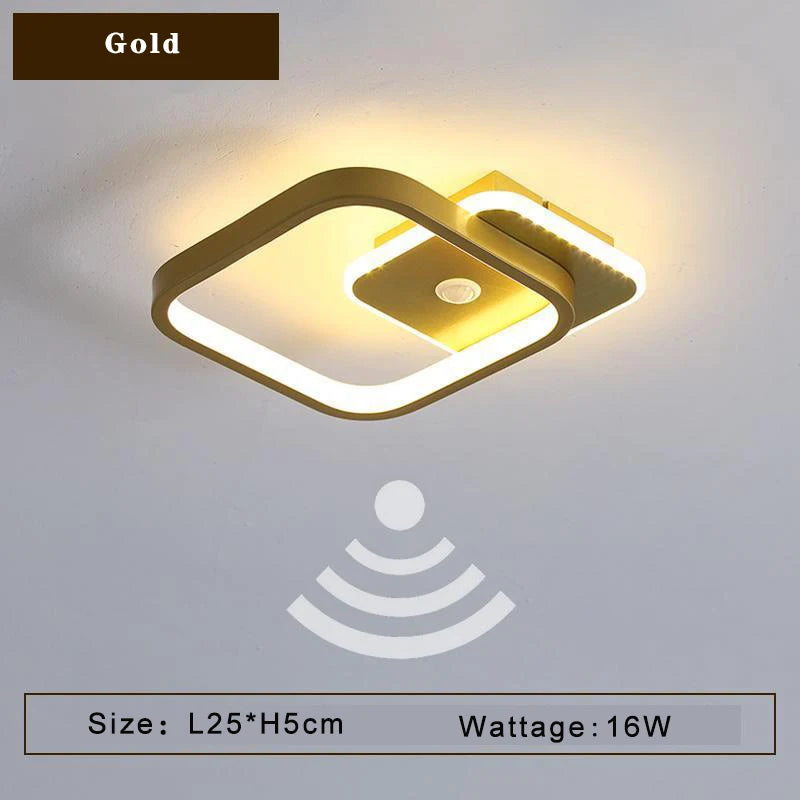 45248872218779|45248872251547