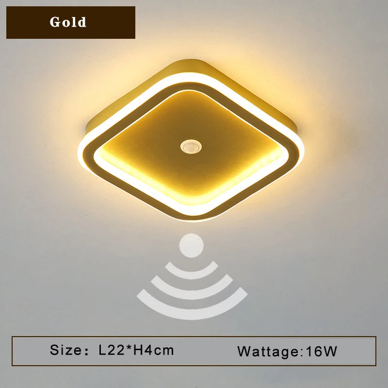 45248872153243|45248872186011