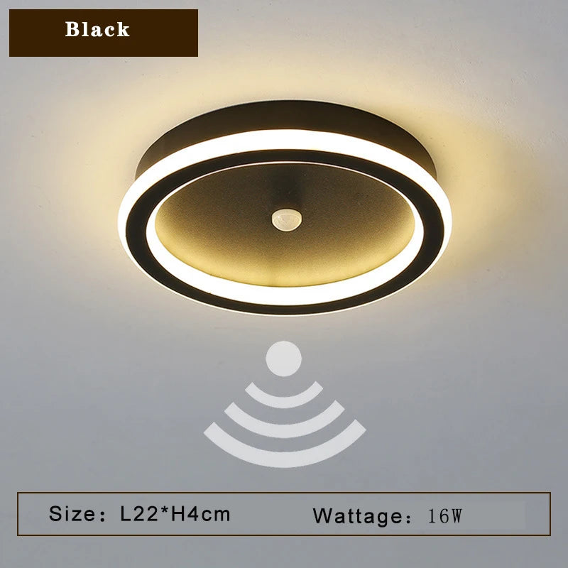 45248872284315|45248872317083