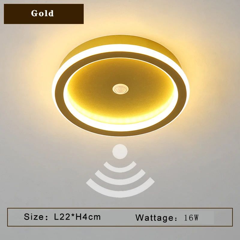 45248872480923|45248872513691